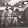 504. Feste 1954